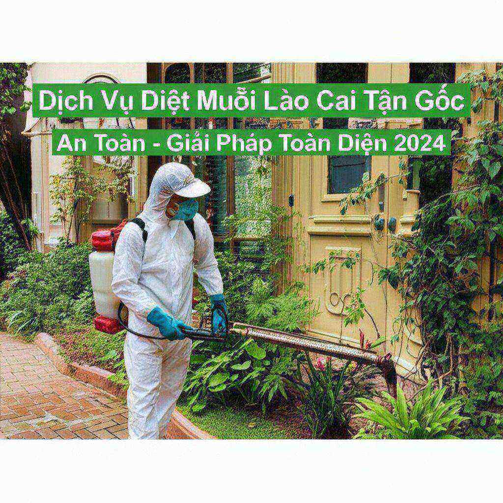 Hình minh họa cho bài viết: Dịch Vụ Diệt Muỗi Lào Cai Tận Gốc, An Toàn - Giải Pháp Toàn Diện 2024