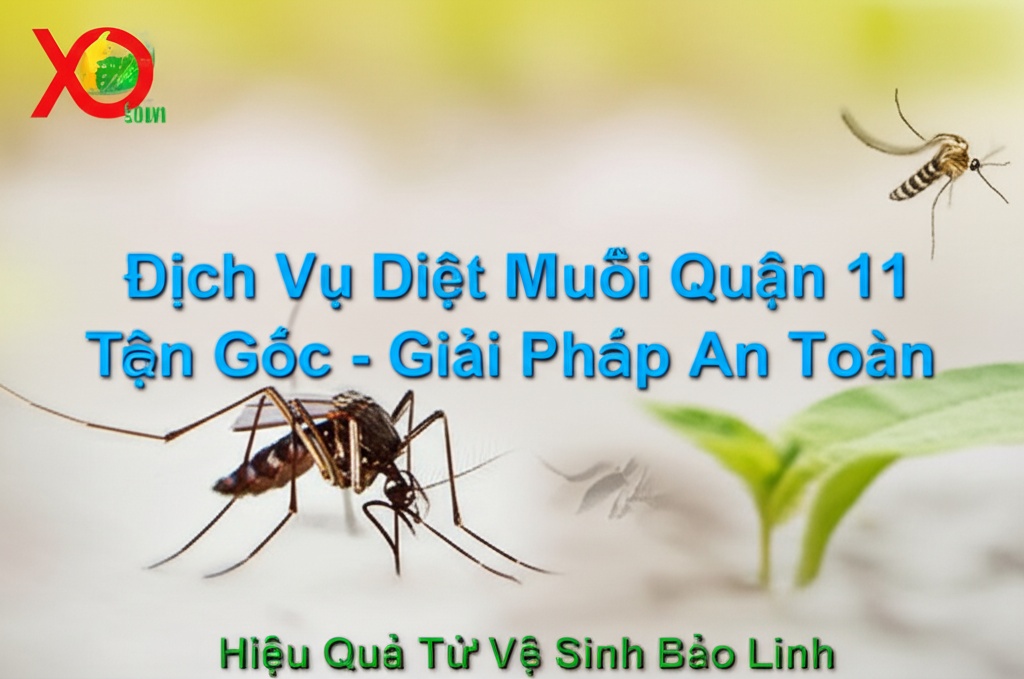 Hình minh họa cho bài viết: Dịch Vụ Diệt Muỗi Quận 11 Tận Gốc - Giải Pháp An Toàn, Hiệu Quả Từ Vệ Sinh Bảo Linh