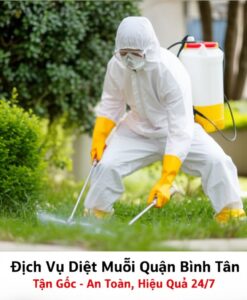 Dịch Vụ Diệt Muỗi Quận Bình Tân Tận Gốc – An Toàn, Hiệu Quả 24/7