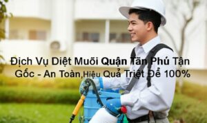 Dịch Vụ Diệt Muỗi Quận Tân Phú Tận Gốc – An Toàn, Hiệu Quả Triệt Để 100%