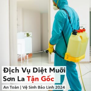 Dịch Vụ Diệt Muỗi Sơn La Tận Gốc, An Toàn | Vệ Sinh Bảo Linh 2024