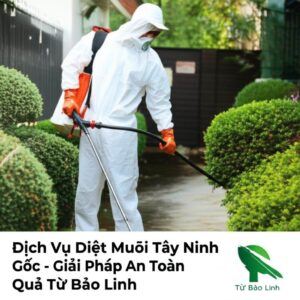 Dịch Vụ Diệt Muỗi Tây Ninh Tận Gốc – Giải Pháp An Toàn, Hiệu Quả Từ Bảo Linh