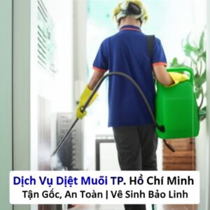 Dịch Vụ Diệt Muỗi TP. Hồ Chí Minh Tận Gốc, An Toàn | Vệ Sinh Bảo Linh