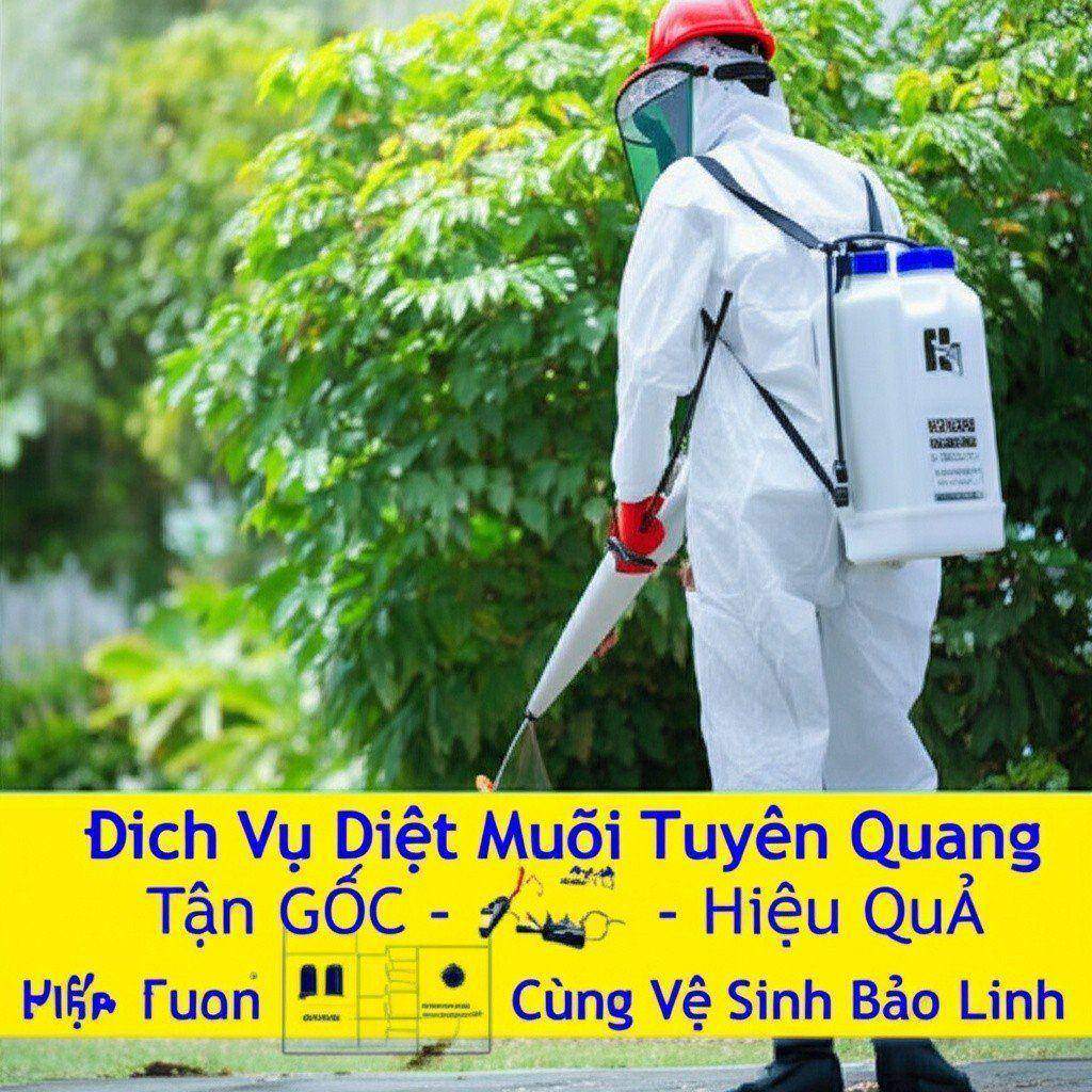 Hình minh họa cho bài viết: Dịch Vụ Diệt Muỗi Tuyên Quang Tận Gốc - An Toàn, Hiệu Quả Cùng Vệ Sinh Bảo Linh