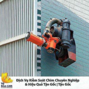 Dịch Vụ Kiểm Soát Chim Chuyên Nghiệp & Hiệu Quả Tận Gốc | Vệ Sinh Bảo Linh