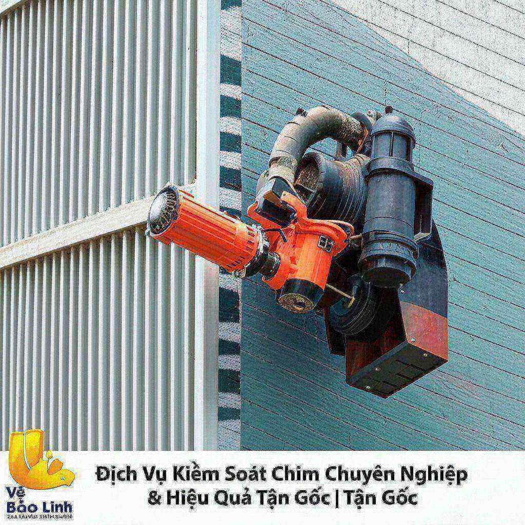 Hình minh họa cho bài viết: Dịch Vụ Kiểm Soát Chim Chuyên Nghiệp & Hiệu Quả Tận Gốc | Vệ Sinh Bảo Linh