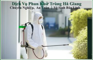 Dịch Vụ Phun Khử Trùng Hà Giang Chuyên Nghiệp, An Toàn | Vệ Sinh Bảo Linh