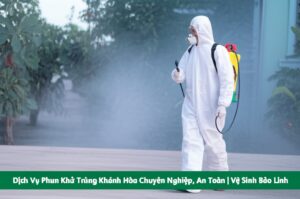Dịch Vụ Phun Khử Trùng Khánh Hòa Chuyên Nghiệp, An Toàn | Vệ Sinh Bảo Linh