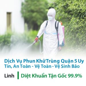 Dịch Vụ Phun Khử Trùng Quận 5 Uy Tín, An Toàn – Vệ Sinh Bảo Linh | Diệt Khuẩn Tận Gốc 99.9%