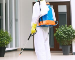 Dịch Vụ Phun Khử Trùng Quận 8 Uy Tín, An Toàn – Vệ Sinh Bảo Linh