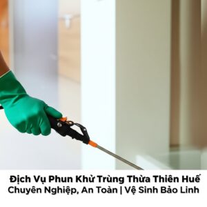 Dịch Vụ Phun Khử Trùng Thừa Thiên Huế Chuyên Nghiệp, An Toàn | Vệ Sinh Bảo Linh