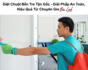 Diệt Chuột Bến Tre Tận Gốc – Giải Pháp An Toàn, Hiệu Quả Từ Chuyên Gia Bảo Linh