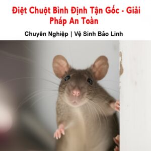 Diệt Chuột Bình Định Tận Gốc – Giải Pháp An Toàn, Chuyên Nghiệp | Vệ Sinh Bảo Linh