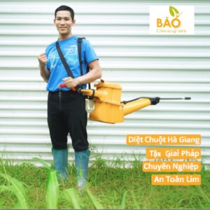 Diệt Chuột Hà Giang Tận Gốc – Giải Pháp Chuyên Nghiệp, An Toàn Từ Bảo Linh