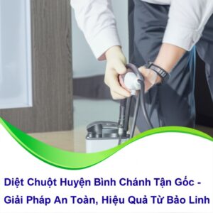 Diệt Chuột Huyện Bình Chánh Tận Gốc – Giải Pháp An Toàn, Hiệu Quả Từ Bảo Linh