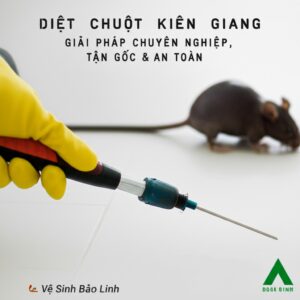 Diệt Chuột Kiên Giang: Giải Pháp Chuyên Nghiệp, Tận Gốc & An Toàn | Vệ Sinh Bảo Linh