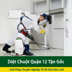 Diệt Chuột Quận 12 Tận Gốc – Giải Pháp Chuyên Nghiệp Từ Vệ Sinh Bảo Linh