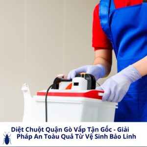 Diệt Chuột Quận Gò Vấp Tận Gốc – Giải Pháp An Toàn, Hiệu Quả Từ Vệ Sinh Bảo Linh