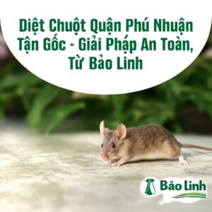Diệt Chuột Quận Phú Nhuận Tận Gốc – Giải Pháp An Toàn, Hiệu Quả Từ Bảo Linh