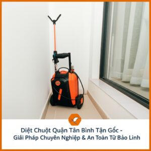 Diệt Chuột Quận Tân Bình Tận Gốc – Giải Pháp Chuyên Nghiệp & An Toàn Từ Bảo Linh