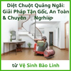 Diệt Chuột Quảng Ngãi: Giải Pháp Tận Gốc, An Toàn & Chuyên Nghiệp từ Vệ Sinh Bảo Linh