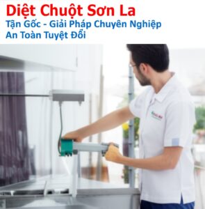 Diệt Chuột Sơn La Tận Gốc – Giải Pháp Chuyên Nghiệp, An Toàn Tuyệt Đối