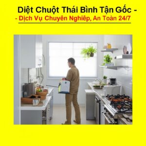 Diệt Chuột Thái Bình Tận Gốc – Dịch Vụ Chuyên Nghiệp, An Toàn 24/7