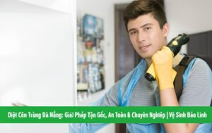 Diệt Côn Trùng Đà Nẵng: Giải Pháp Tận Gốc, An Toàn & Chuyên Nghiệp | Vệ Sinh Bảo Linh
