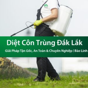 Diệt Côn Trùng Đắk Lắk: Giải Pháp Tận Gốc, An Toàn & Chuyên Nghiệp | Bảo Linh