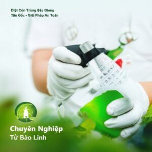 Diệt Côn Trùng Bắc Giang Tận Gốc – Giải Pháp An Toàn, Chuyên Nghiệp Từ Bảo Linh