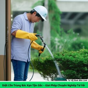 Diệt Côn Trùng Bắc Kạn Tận Gốc – Giải Pháp Chuyên Nghiệp Từ Vệ Sinh Bảo Linh