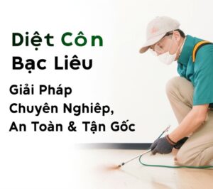 Diệt Côn Trùng Bạc Liêu: Giải Pháp Chuyên Nghiệp, An Toàn & Tận Gốc Từ Vệ Sinh Bảo Linh