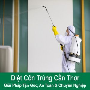 Diệt Côn Trùng Cần Thơ: Giải Pháp Tận Gốc, An Toàn & Chuyên Nghiệp