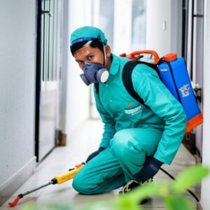 Diệt Côn Trùng Khánh Hòa: Giải Pháp Tận Gốc, An Toàn & Chuyên Nghiệp | Bảo Linh