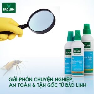 Diệt Côn Trùng Kiên Giang: Giải Pháp Chuyên Nghiệp, An Toàn & Tận Gốc từ Bảo Linh
