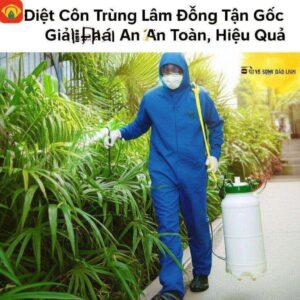 Diệt Côn Trùng Lâm Đồng Tận Gốc – Giải Pháp An Toàn, Hiệu Quả Từ Vệ Sinh Bảo Linh