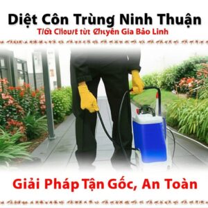 Diệt Côn Trùng Ninh Thuận: Giải Pháp Tận Gốc, An Toàn Từ Chuyên Gia Bảo Linh