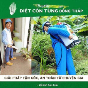 Diệt Côn Trùng Đồng Tháp: Giải Pháp Tận Gốc, An Toàn Từ Chuyên Gia – Vệ Sinh Bảo Linh