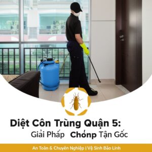 Diệt Côn Trùng Quận 5: Giải Pháp Tận Gốc, An Toàn & Chuyên Nghiệp | Vệ Sinh Bảo Linh