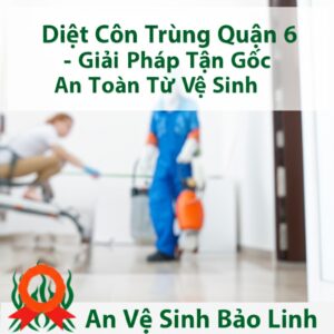 Diệt Côn Trùng Quận 6 – Giải Pháp Tận Gốc, An Toàn Từ Vệ Sinh Bảo Linh