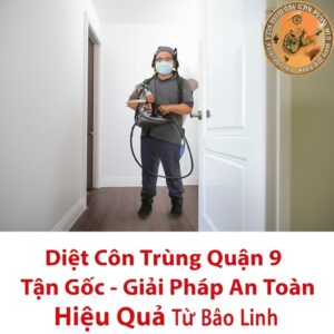 Diệt Côn Trùng Quận 9 Tận Gốc – Giải Pháp An Toàn, Hiệu Quả Từ Bảo Linh