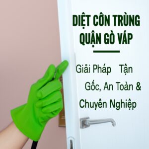 Diệt Côn Trùng Quận Gò Vấp: Giải Pháp Tận Gốc, An Toàn & Chuyên Nghiệp