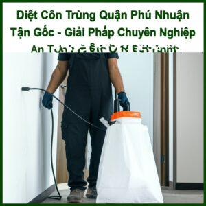 Diệt Côn Trùng Quận Phú Nhuận Tận Gốc – Giải Pháp Chuyên Nghiệp, An Toàn Từ Vệ Sinh Bảo Linh
