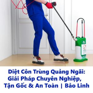 Diệt Côn Trùng Quảng Ngãi: Giải Pháp Chuyên Nghiệp, Tận Gốc & An Toàn | Bảo Linh