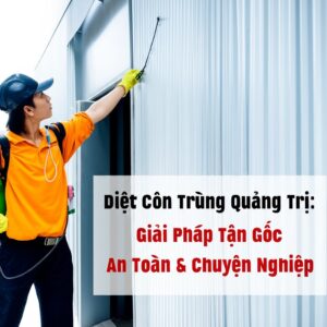 Diệt Côn Trùng Quảng Trị: Giải Pháp Tận Gốc, An Toàn & Chuyên Nghiệp