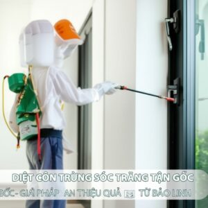 Diệt Côn Trùng Sóc Trăng Tận Gốc – Giải Pháp An Toàn, Hiệu Quả Từ Bảo Linh