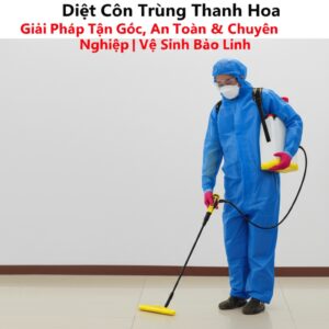 Diệt Côn Trùng Thanh Hóa: Giải Pháp Tận Gốc, An Toàn & Chuyên Nghiệp | Vệ Sinh Bảo Linh