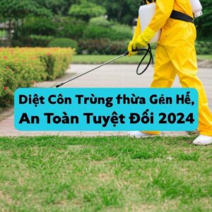 Diệt Côn Trùng Thừa Thiên Huế: Giải Pháp Tận Gốc, An Toàn Tuyệt Đối 2024