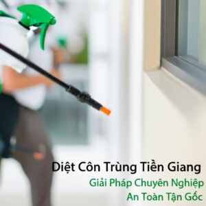 Diệt Côn Trùng Tiền Giang: Giải Pháp Chuyên Nghiệp, An Toàn Tận Gốc