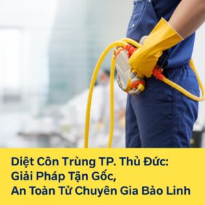 Diệt Côn Trùng TP. Thủ Đức: Giải Pháp Tận Gốc, An Toàn Từ Chuyên Gia Bảo Linh